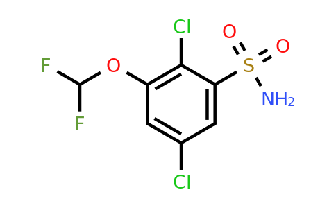 1806348-88-8 | 2,5-Dichloro-3-(difluoromethoxy)benzenesulfonamide