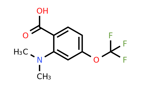 1806350-46-8 | 2-Dimethylamino-4-(trifluoromethoxy)benzoic acid