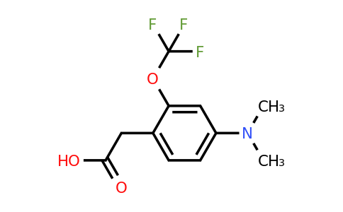 1806351-30-3 | 4-Dimethylamino-2-(trifluoromethoxy)phenylacetic acid