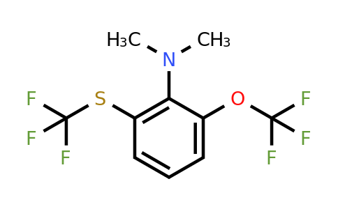 1806351-64-3 | 1-Dimethylamino-2-trifluoromethoxy-6-(trifluoromethylthio)benzene