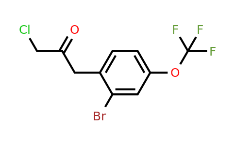 1806354-14-2 | 1-(2-Bromo-4-(trifluoromethoxy)phenyl)-3-chloropropan-2-one