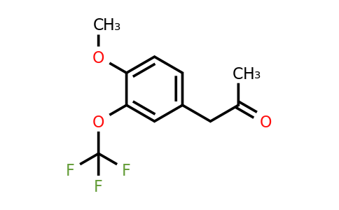 1806361-18-1 | 4-(2-Oxopropyl)-2-(trifluoromethoxy)anisole