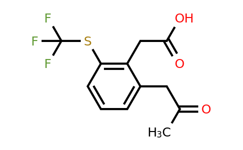 1806375-80-3 | 2-(2-Oxopropyl)-6-(trifluoromethylthio)phenylacetic acid