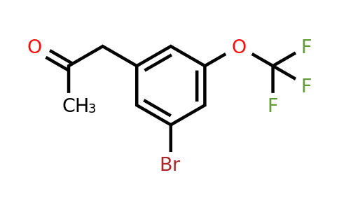 1806381-44-1 | 1-(3-Bromo-5-(trifluoromethoxy)phenyl)propan-2-one