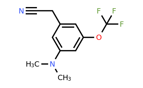 1806394-54-6 | 3-Dimethylamino-5-(trifluoromethoxy)phenylacetonitrile