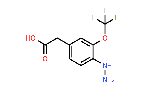 1806397-33-0 | 4-Hydrazinyl-3-(trifluoromethoxy)phenylacetic acid