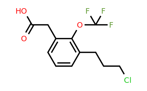 1806398-87-7 | 3-(3-Chloropropyl)-2-(trifluoromethoxy)phenylacetic acid