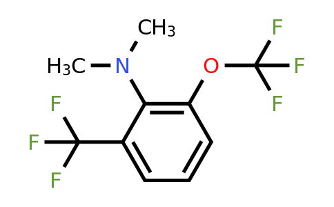 1806418-54-1 | 2-Dimethylamino-3-(trifluoromethoxy)benzotrifluoride
