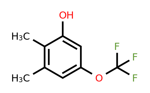 1806419-84-0 | 2,3-Dimethyl-5-(trifluoromethoxy)phenol