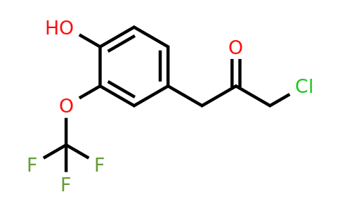 1806443-78-6 | 4-(3-Chloro-2-oxopropyl)-2-(trifluoromethoxy)phenol