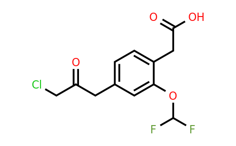 1806445-59-9 | 4-(3-Chloro-2-oxopropyl)-2-(difluoromethoxy)phenylacetic acid