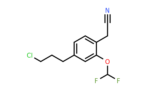 1806446-42-3 | 4-(3-Chloropropyl)-2-(difluoromethoxy)phenylacetonitrile