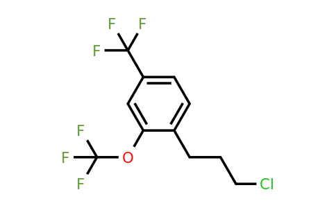 1806461-16-4 | 4-(3-Chloropropyl)-3-(trifluoromethoxy)benzotrifluoride