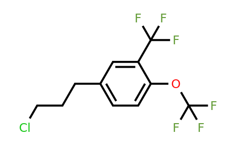 1806461-20-0 | 5-(3-Chloropropyl)-2-(trifluoromethoxy)benzotrifluoride