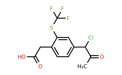 1806464-79-8 | 4-(1-Chloro-2-oxopropyl)-2-(trifluoromethylthio)phenylacetic acid