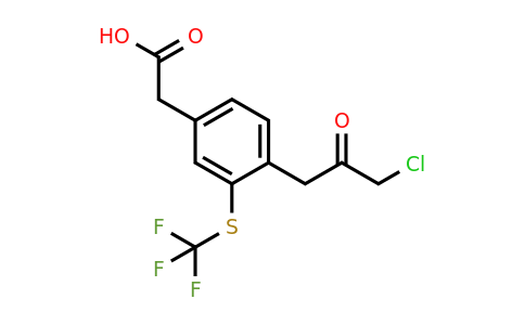 1806464-83-4 | 4-(3-Chloro-2-oxopropyl)-3-(trifluoromethylthio)phenylacetic acid
