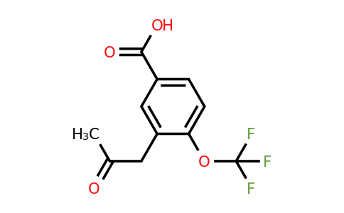 1806468-14-3 | 3-(2-Oxopropyl)-4-(trifluoromethoxy)benzoic acid