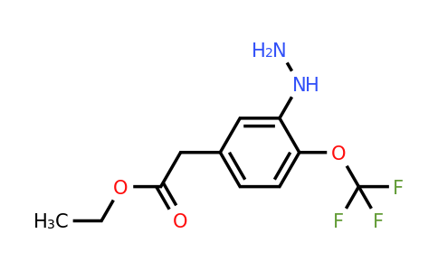 1806468-20-1 | Ethyl 3-hydrazinyl-4-(trifluoromethoxy)phenylacetate