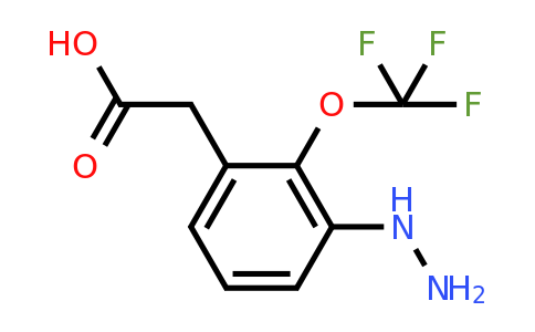 1806468-43-8 | 3-Hydrazinyl-2-(trifluoromethoxy)phenylacetic acid