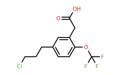 1806468-51-8 | 5-(3-Chloropropyl)-2-(trifluoromethoxy)phenylacetic acid