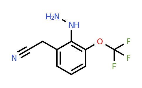 1806468-57-4 | 2-Hydrazinyl-3-(trifluoromethoxy)phenylacetonitrile