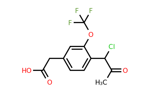 1806468-81-4 | 4-(1-Chloro-2-oxopropyl)-3-(trifluoromethoxy)phenylacetic acid