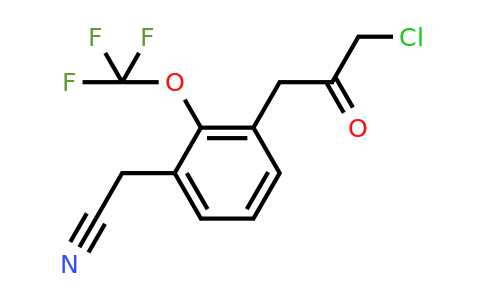 1806470-44-9 | 3-(3-Chloro-2-oxopropyl)-2-(trifluoromethoxy)phenylacetonitrile