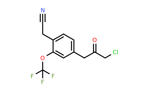 1806470-51-8 | 4-(3-Chloro-2-oxopropyl)-2-(trifluoromethoxy)phenylacetonitrile