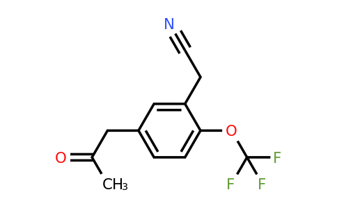 1806497-49-3 | 5-(2-Oxopropyl)-2-(trifluoromethoxy)phenylacetonitrile