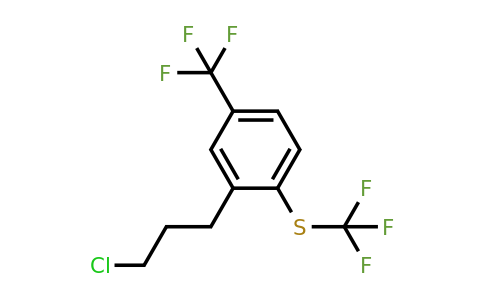 1806500-31-1 | 3-(3-Chloropropyl)-4-(trifluoromethylthio)benzotrifluoride