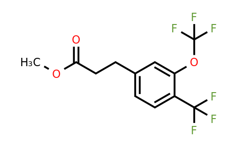 1806501-65-4 | Methyl 3-(3-(trifluoromethoxy)-4-(trifluoromethyl)phenyl)propanoate