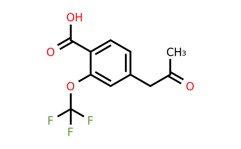 1806503-00-3 | 4-(2-Oxopropyl)-2-(trifluoromethoxy)benzoic acid