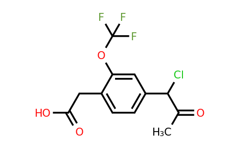 1806503-37-6 | 4-(1-Chloro-2-oxopropyl)-2-(trifluoromethoxy)phenylacetic acid