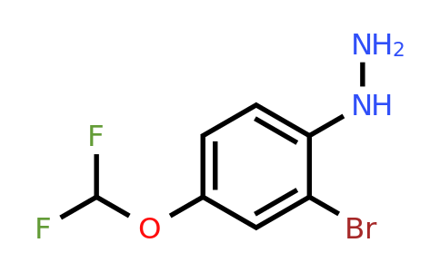 1806511-72-7 | 1-(2-Bromo-4-(difluoromethoxy)phenyl)hydrazine