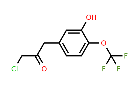 1806541-50-3 | 5-(3-Chloro-2-oxopropyl)-2-(trifluoromethoxy)phenol