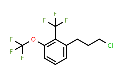 1806547-95-4 | 2-(3-Chloropropyl)-6-(trifluoromethoxy)benzotrifluoride
