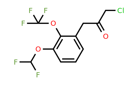 1806557-82-3 | 1-Chloro-3-(3-(difluoromethoxy)-2-(trifluoromethoxy)phenyl)propan-2-one