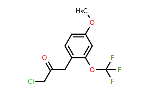 1806566-08-4 | 4-(3-Chloro-2-oxopropyl)-3-(trifluoromethoxy)anisole