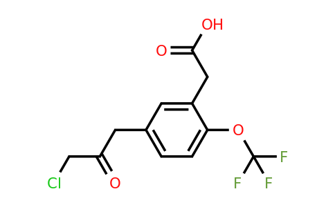 1806579-36-1 | 5-(3-Chloro-2-oxopropyl)-2-(trifluoromethoxy)phenylacetic acid