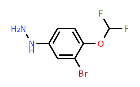 1806581-83-8 | 1-(3-Bromo-4-(difluoromethoxy)phenyl)hydrazine