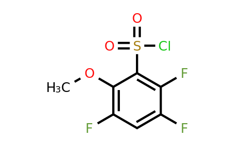 1806588-14-6 | 2-Methoxy-3,5,6-trifluorobenzenesulfonylchloride