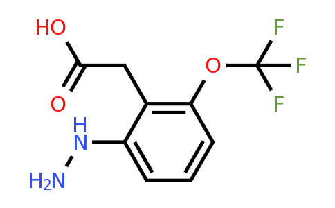 1806597-66-9 | 2-Hydrazinyl-6-(trifluoromethoxy)phenylacetic acid