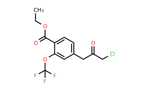 1806601-72-8 | Ethyl 4-(3-chloro-2-oxopropyl)-2-(trifluoromethoxy)benzoate