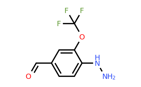 1806610-67-2 | 4-Hydrazinyl-3-(trifluoromethoxy)benzaldehyde