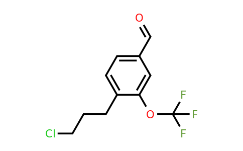 1806613-28-4 | 4-(3-Chloropropyl)-3-(trifluoromethoxy)benzaldehyde