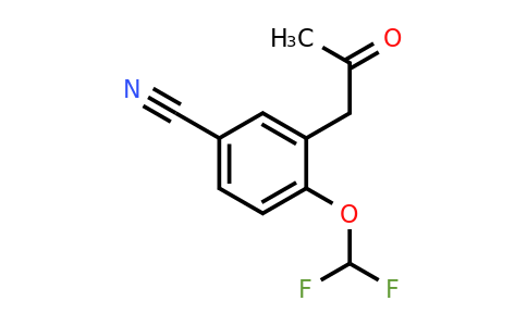 1806641-13-3 | 4-(Difluoromethoxy)-3-(2-oxopropyl)benzonitrile
