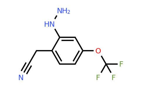 1806646-37-6 | 2-Hydrazinyl-4-(trifluoromethoxy)phenylacetonitrile