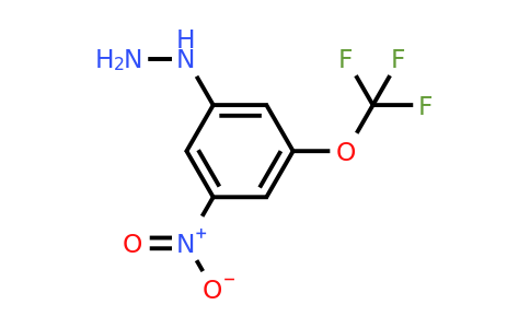1806648-33-8 | 1-(3-Nitro-5-(trifluoromethoxy)phenyl)hydrazine