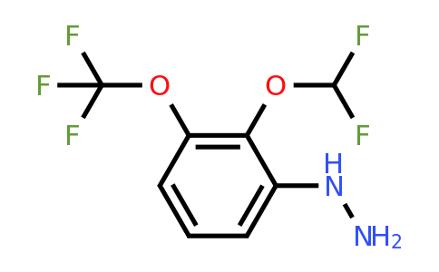 1806648-43-0 | 1-(2-(Difluoromethoxy)-3-(trifluoromethoxy)phenyl)hydrazine