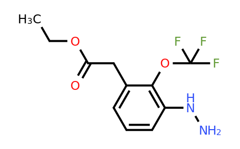 1806649-14-8 | Ethyl 3-hydrazinyl-2-(trifluoromethoxy)phenylacetate